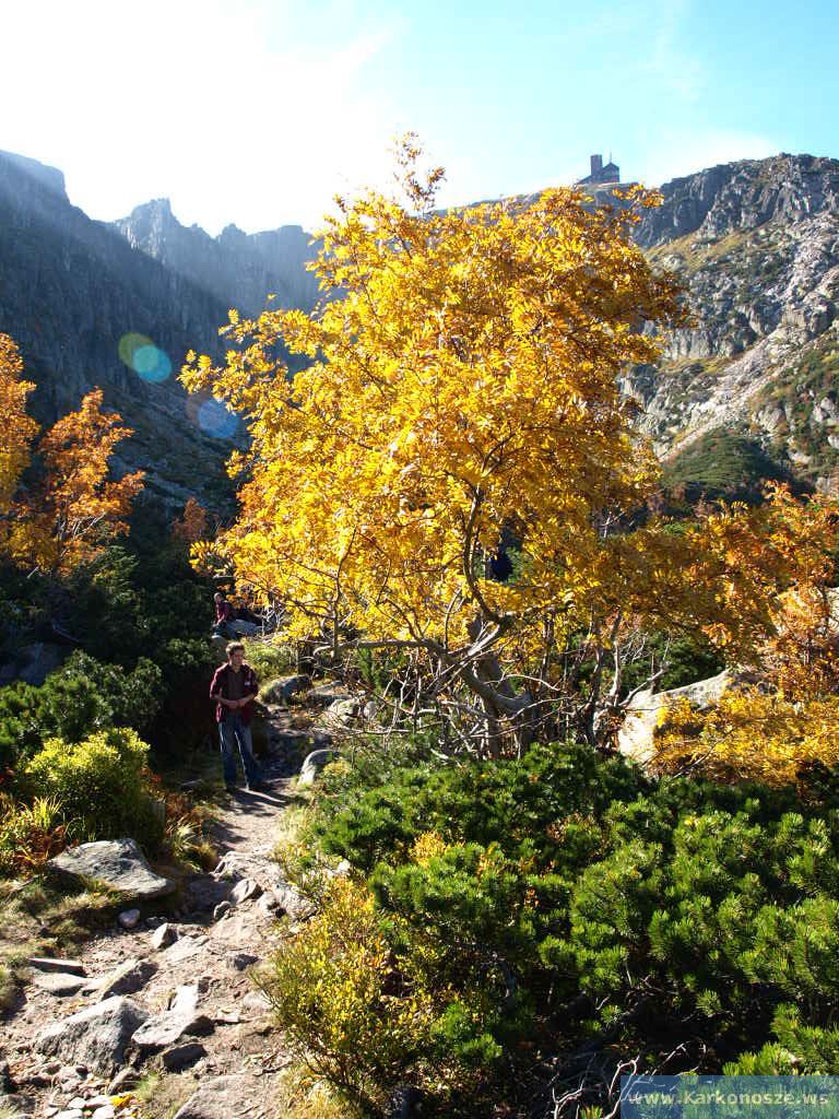 Barwy jesieni w górach