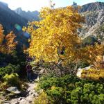 Barwy jesieni w górach