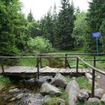 Obok Domku Myśliwych