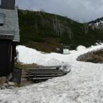 Resztki śniegu wokół Schroniska Samotnia