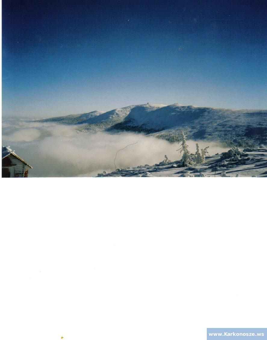 Zimowy widok ze Szrenicy na Śnieżne Kotły