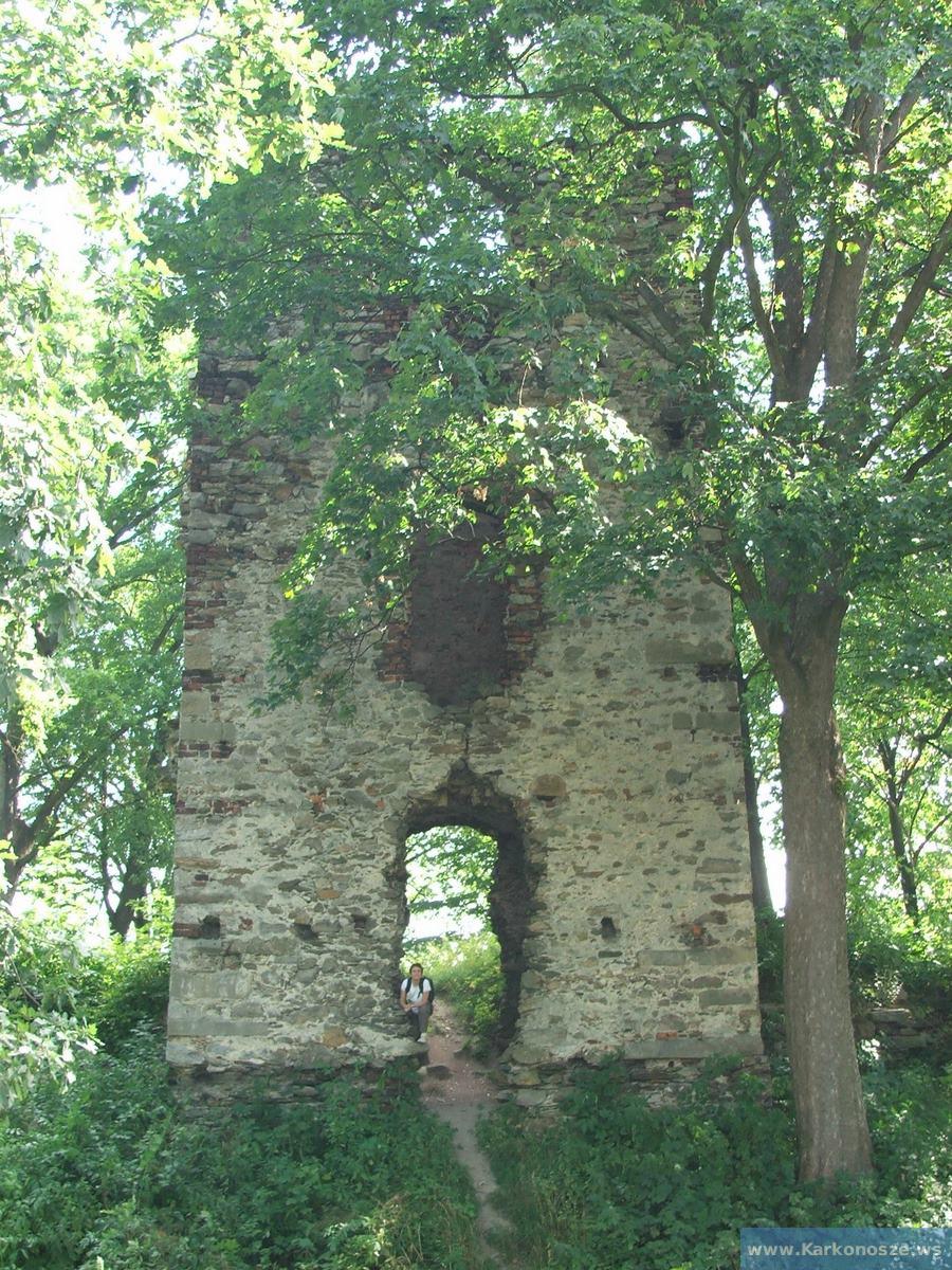 Ruiny w Starej Kamienicy