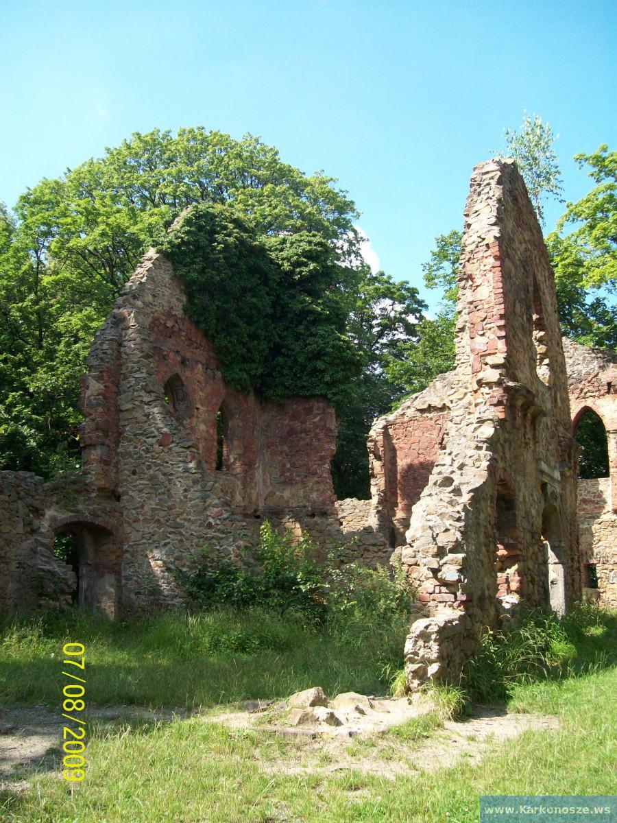 Ruiny w Starym Książu