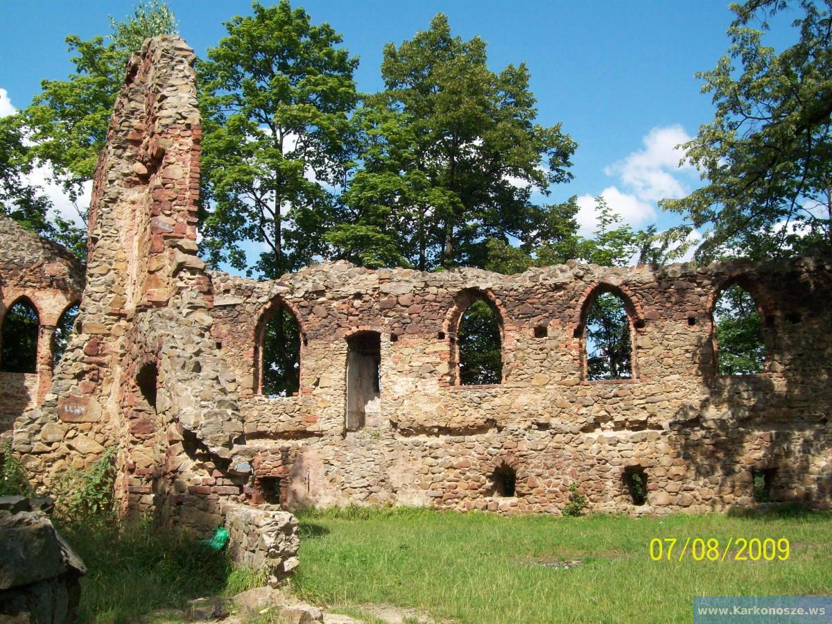Ruiny zamku w Starym Książu