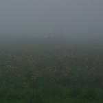 Torfowiska górskie w mgle
