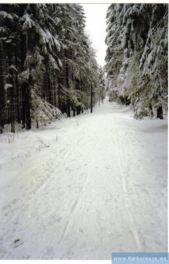 Zimą na szlaku do Wodospadu Kamieńczyka
