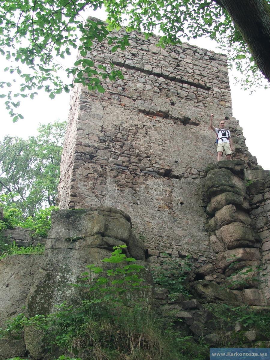 Baszta na zamku Bolczów