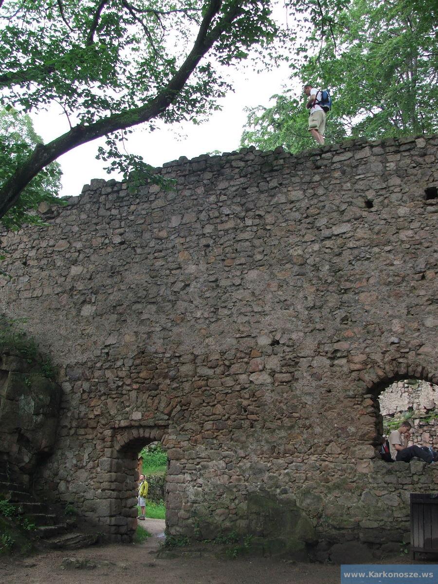 Mury zamku Bolczów