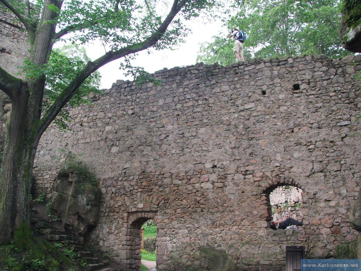 Rycerz zamku Bolczów