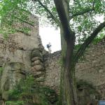 Baszta i mury zamku