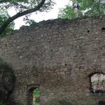 Mury zamku Bolczów
