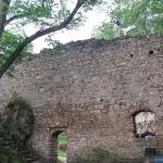 Rycerz zamku Bolczów