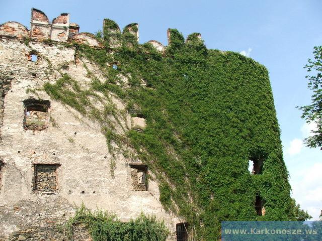 Fragment murów zamku Bolków