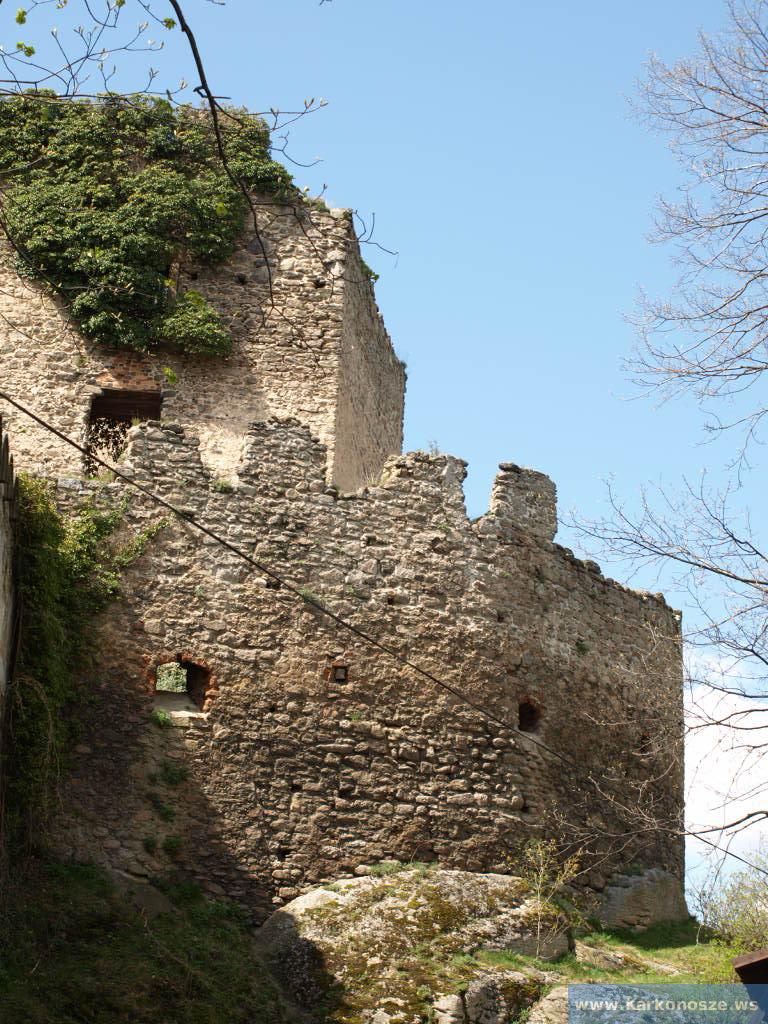 Widok na zamek