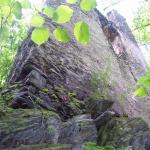 Ruiny zamku Niesytno