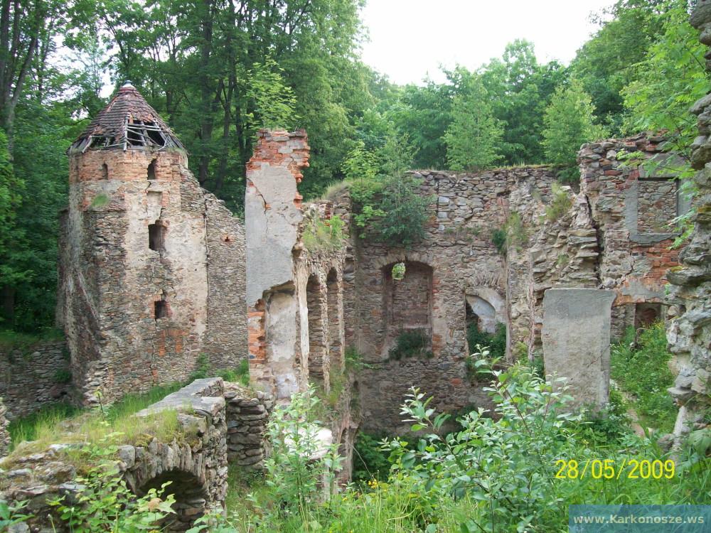 Ruiny Zamku Świecie