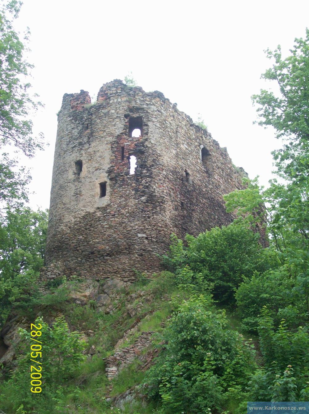 Zamek Świecie w maju 2009
